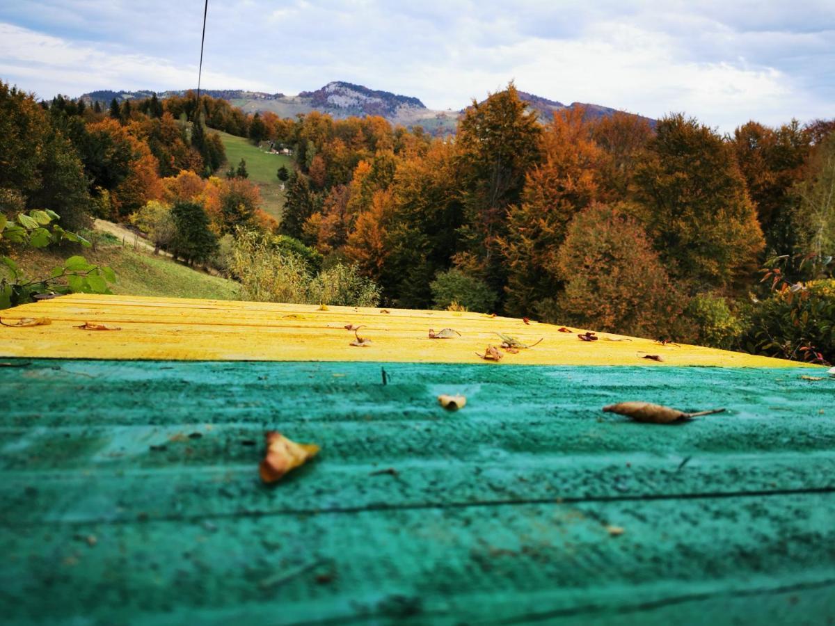Pensiunea Tabacaru Peştera Extérieur photo