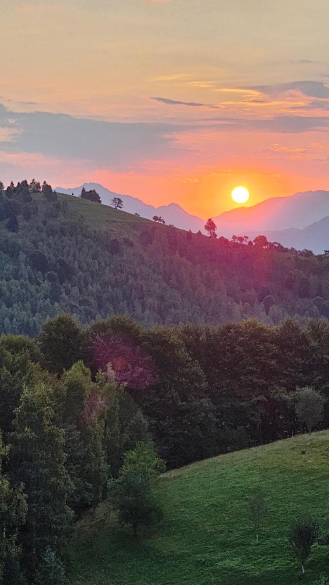Pensiunea Tabacaru Peştera Extérieur photo