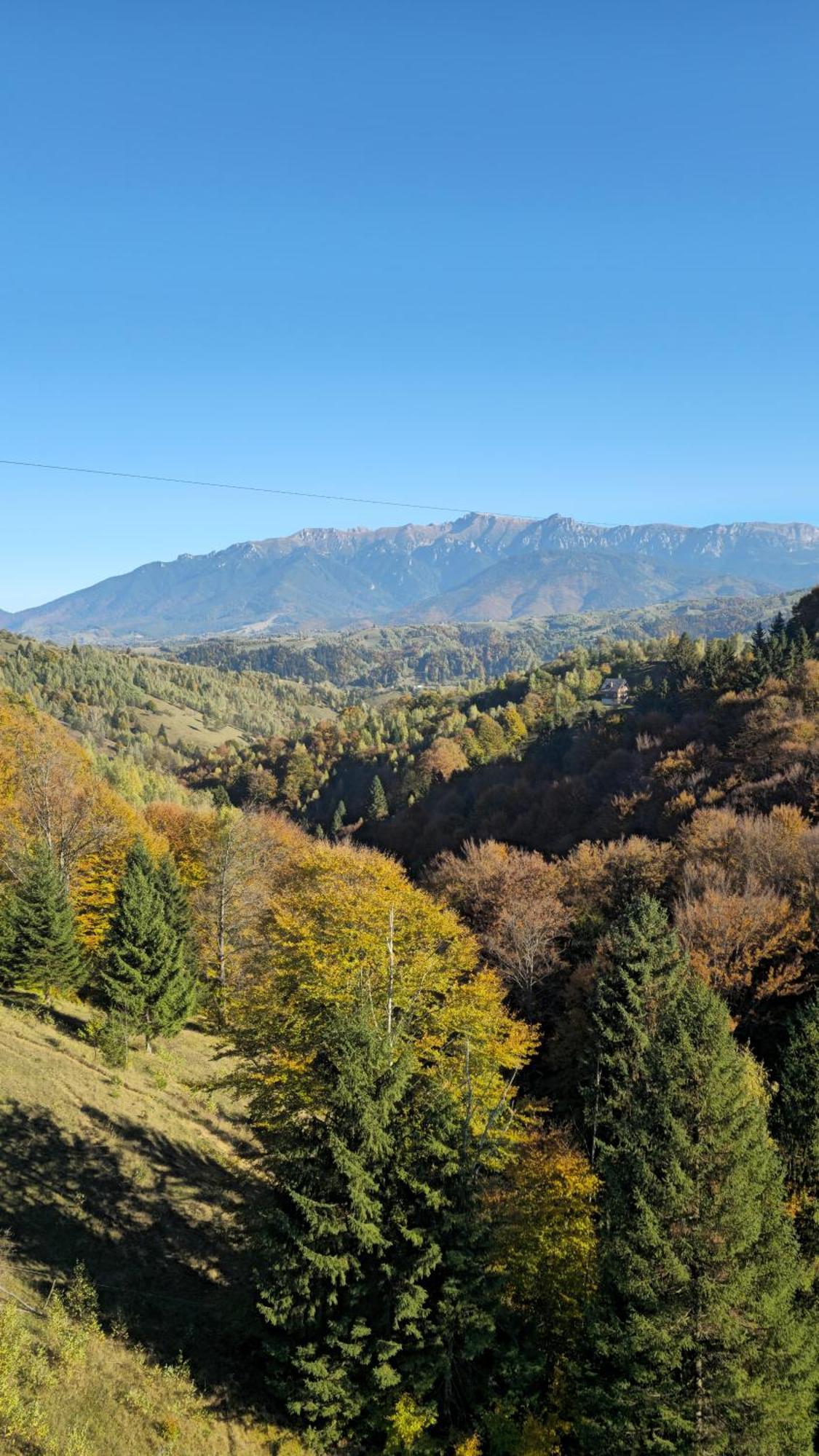 Pensiunea Tabacaru Peştera Extérieur photo