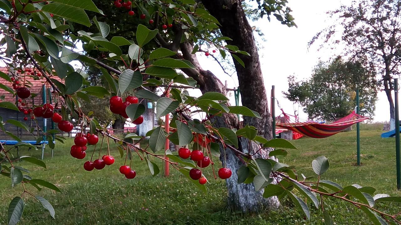 Pensiunea Tabacaru Peştera Extérieur photo