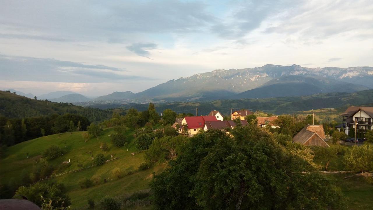 Pensiunea Tabacaru Peştera Extérieur photo