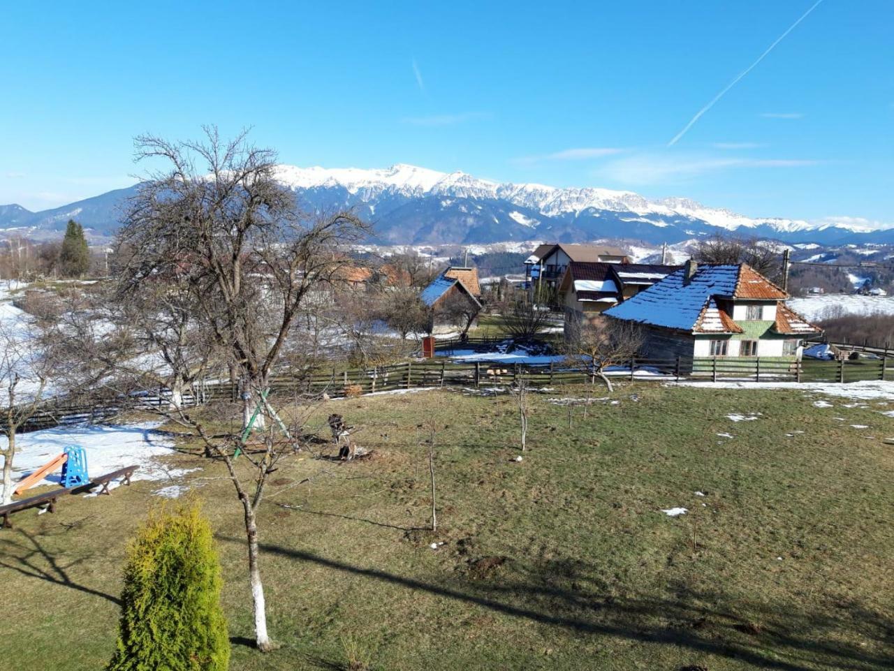 Pensiunea Tabacaru Peştera Extérieur photo