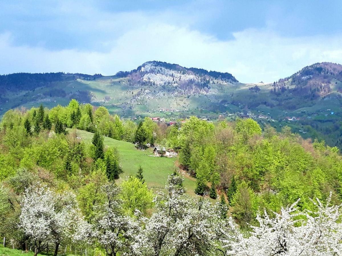 Pensiunea Tabacaru Peştera Extérieur photo
