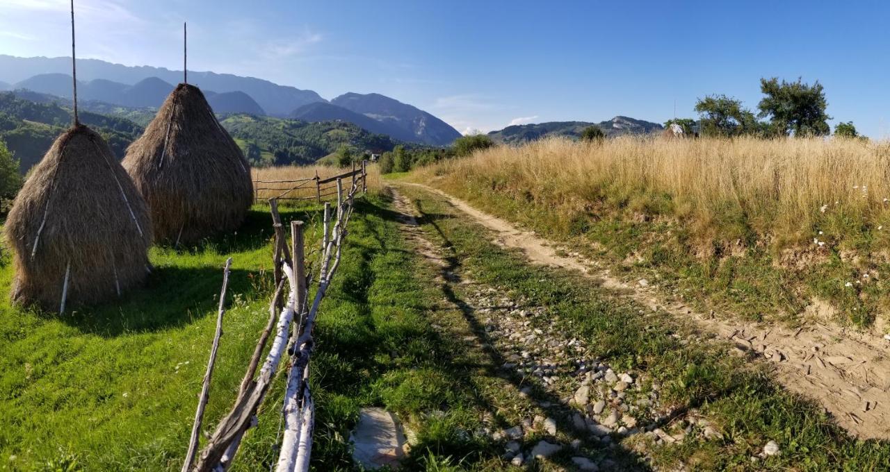 Pensiunea Tabacaru Peştera Extérieur photo