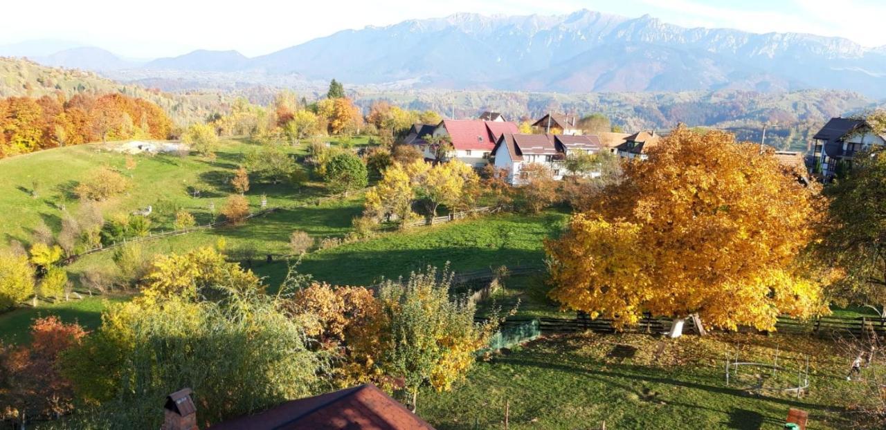 Pensiunea Tabacaru Peştera Extérieur photo